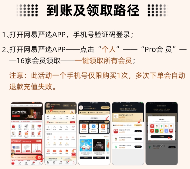 网易严选 Pro会员年卡联合会员 买1得17 图2