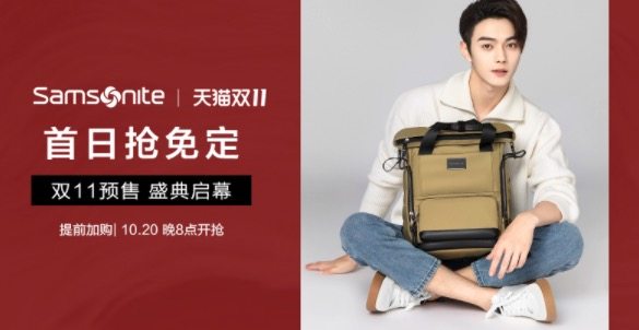 新秀丽 TQ4 女款时尚双肩包 18L 图1