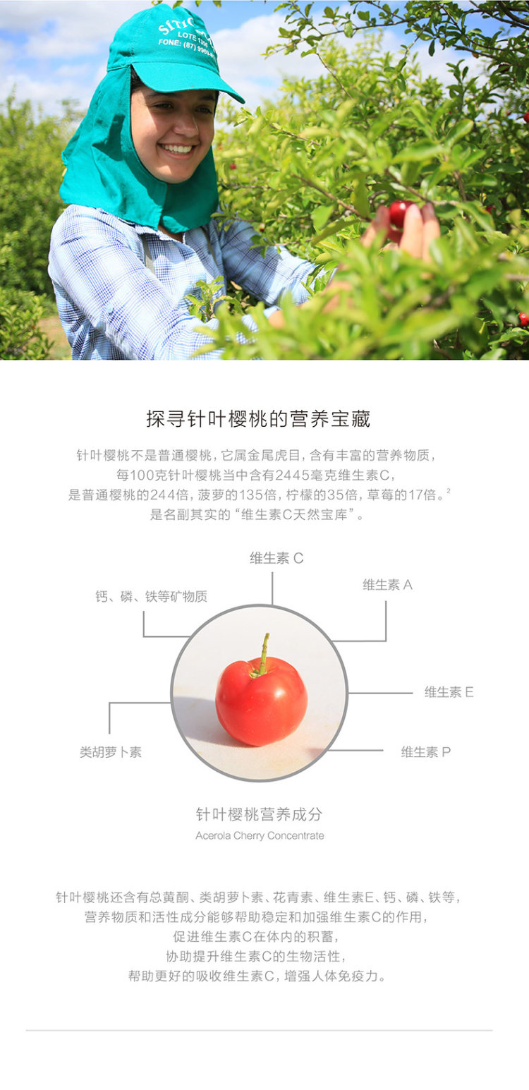 养生堂 天然组合VC维生素C90片 图4