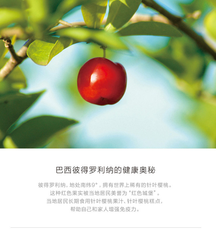 养生堂 天然组合VC维生素C90片 图2