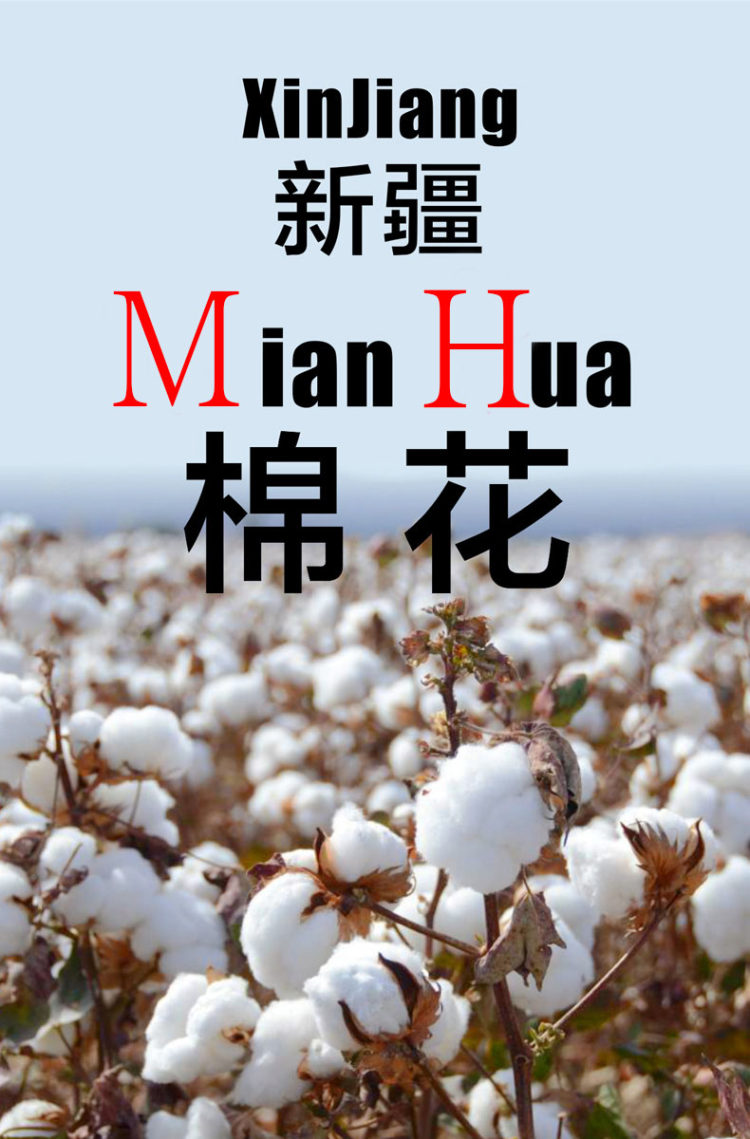 oversize圆领卫衣 男女同款 图1