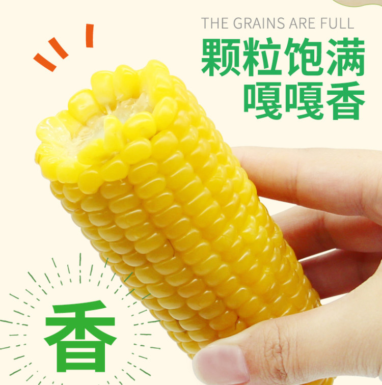 无添加东北甜糯玉米真空10支装 图6