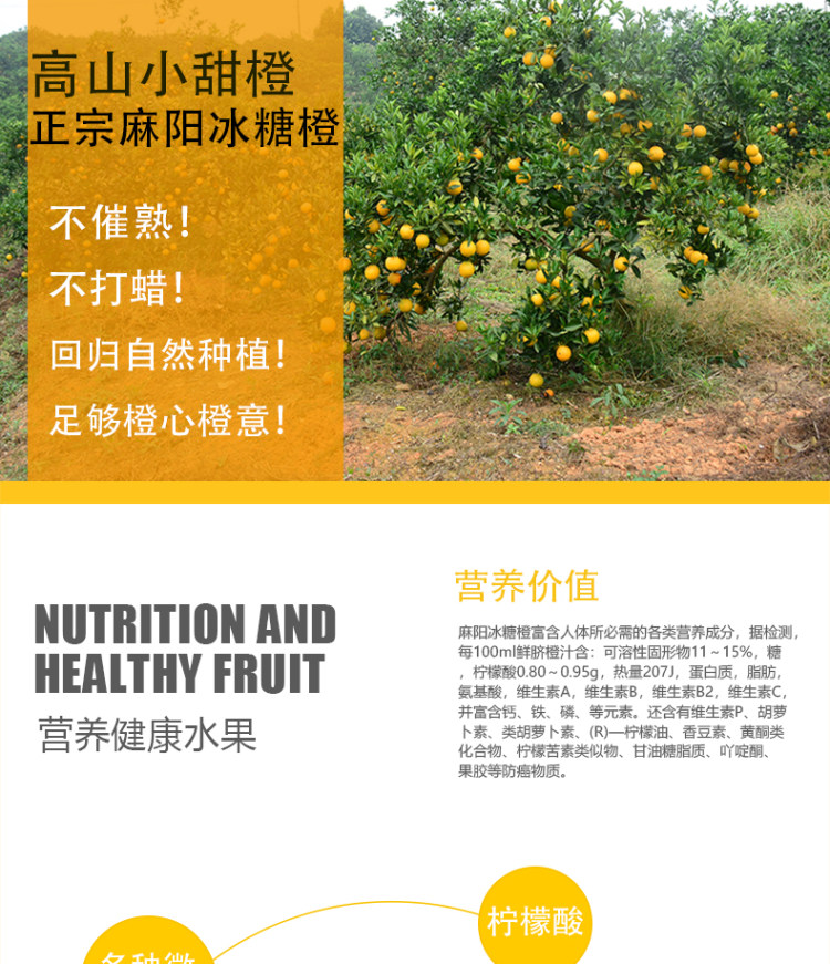 湖南麻阳冰糖橙 新鲜采摘 3斤 图5