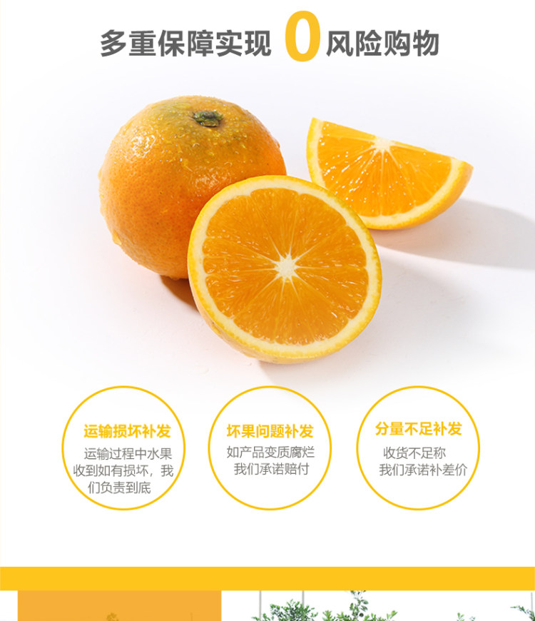 湖南麻阳冰糖橙 新鲜采摘 3斤 图4