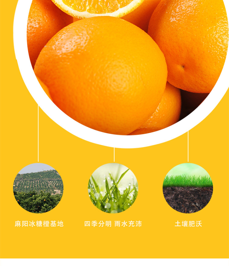 湖南麻阳冰糖橙 新鲜采摘 3斤 图3