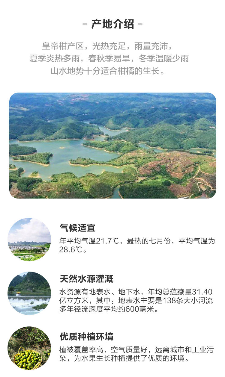 阿里巴巴自营品牌 盒马 正宗皇帝柑3斤 图7