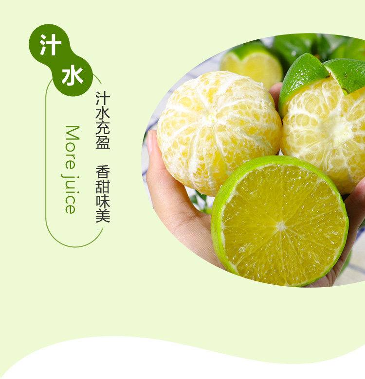 阿里巴巴自营品牌 盒马 正宗皇帝柑3斤 图6