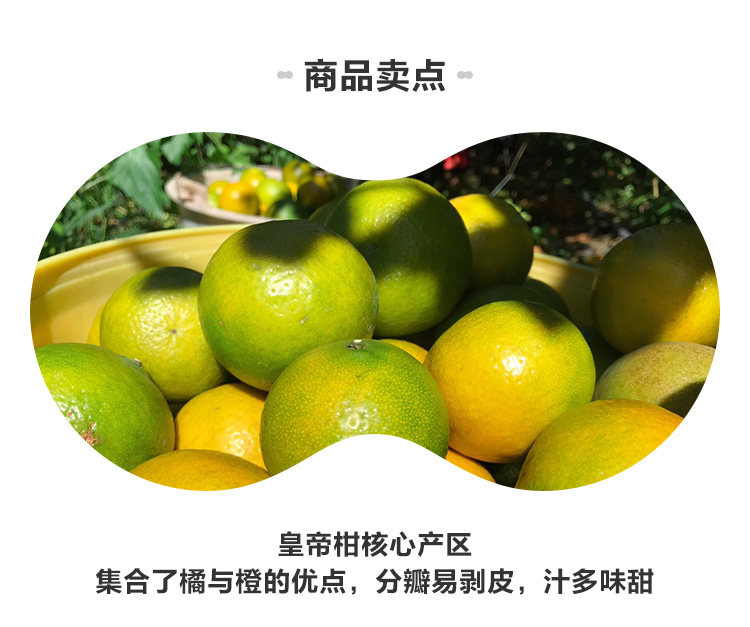 阿里巴巴自营品牌 盒马 正宗皇帝柑3斤 图2