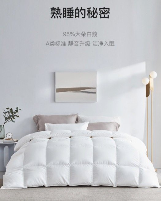 网易严选 95白鹅绒 抗菌羽绒被 图2