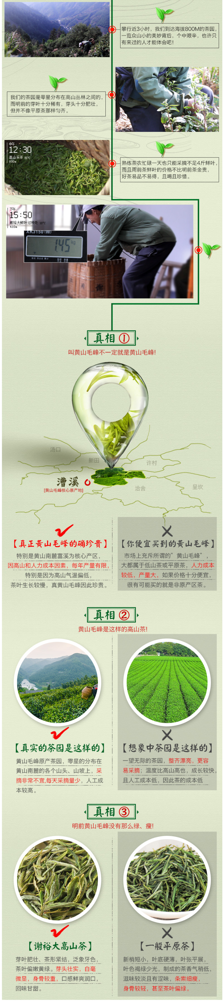 中华老字号 谢裕大 黄山毛峰 100g 图8