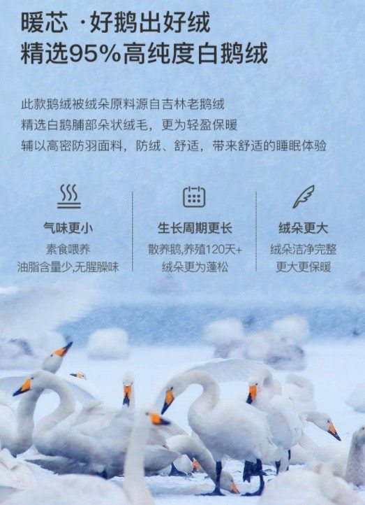 网易严选 95白鹅绒 抗菌羽绒被 图4