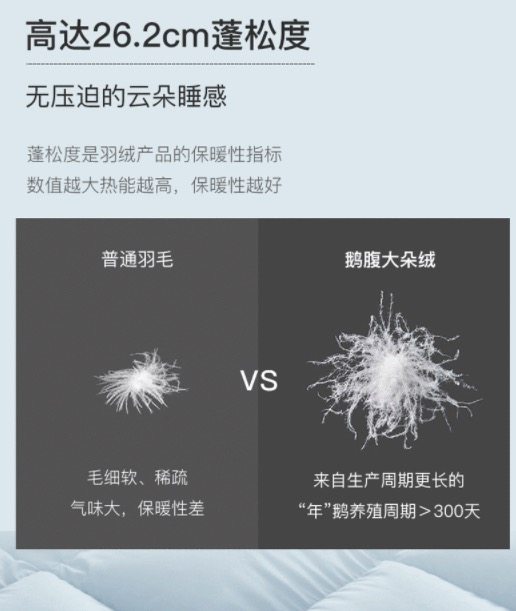 网易严选 95白鹅绒 抗菌羽绒被 图5