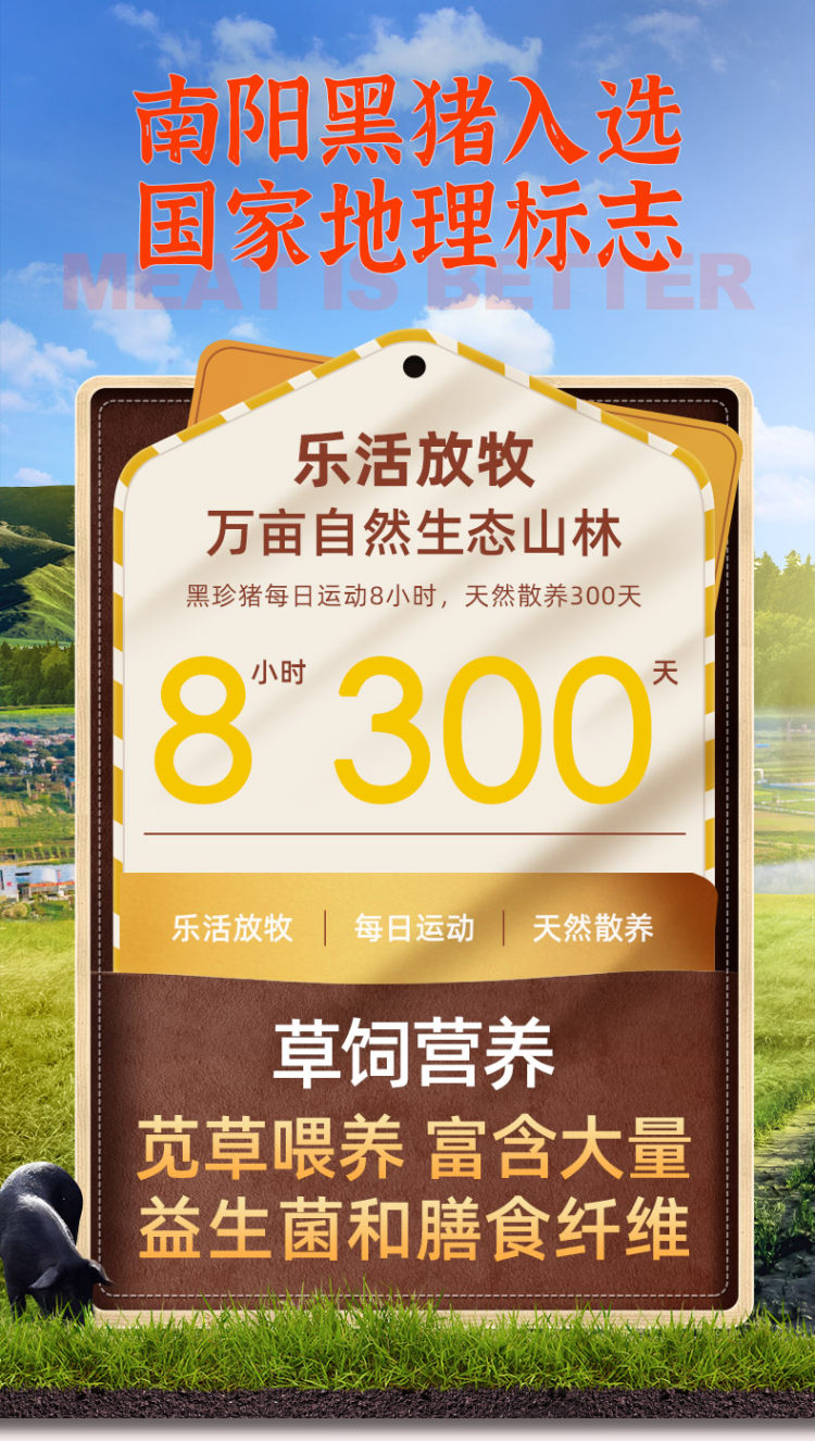 本味鲜物 本味鲜物纯肉烤肠2盒 图2