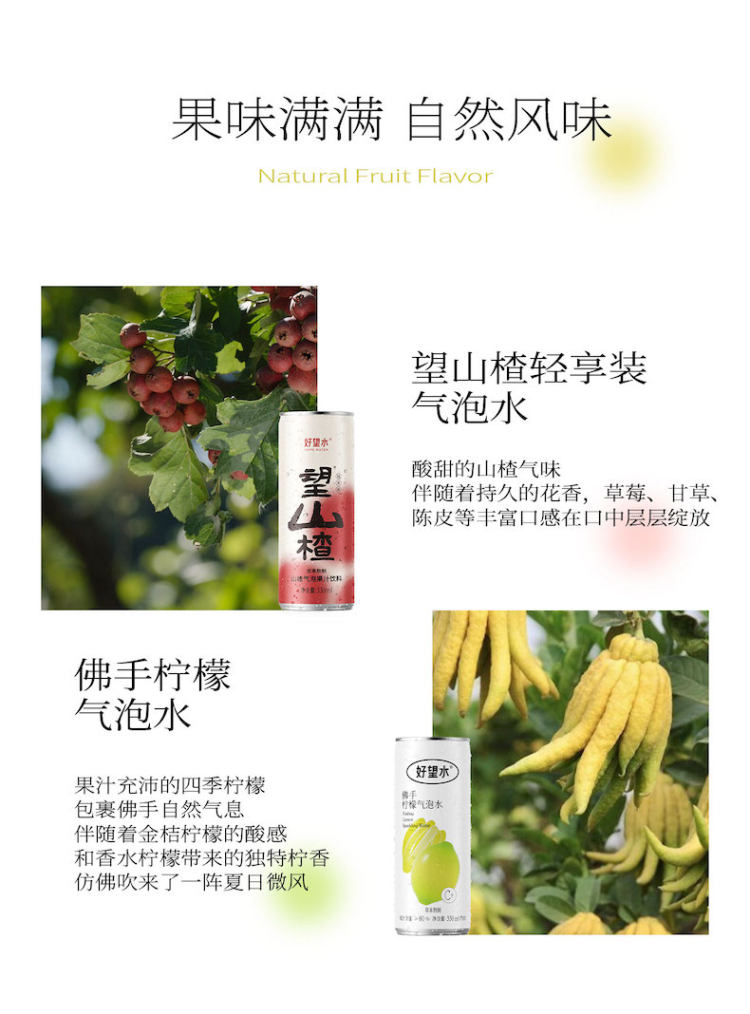 好望水 柠檬气泡水果汁330ml*6 图5