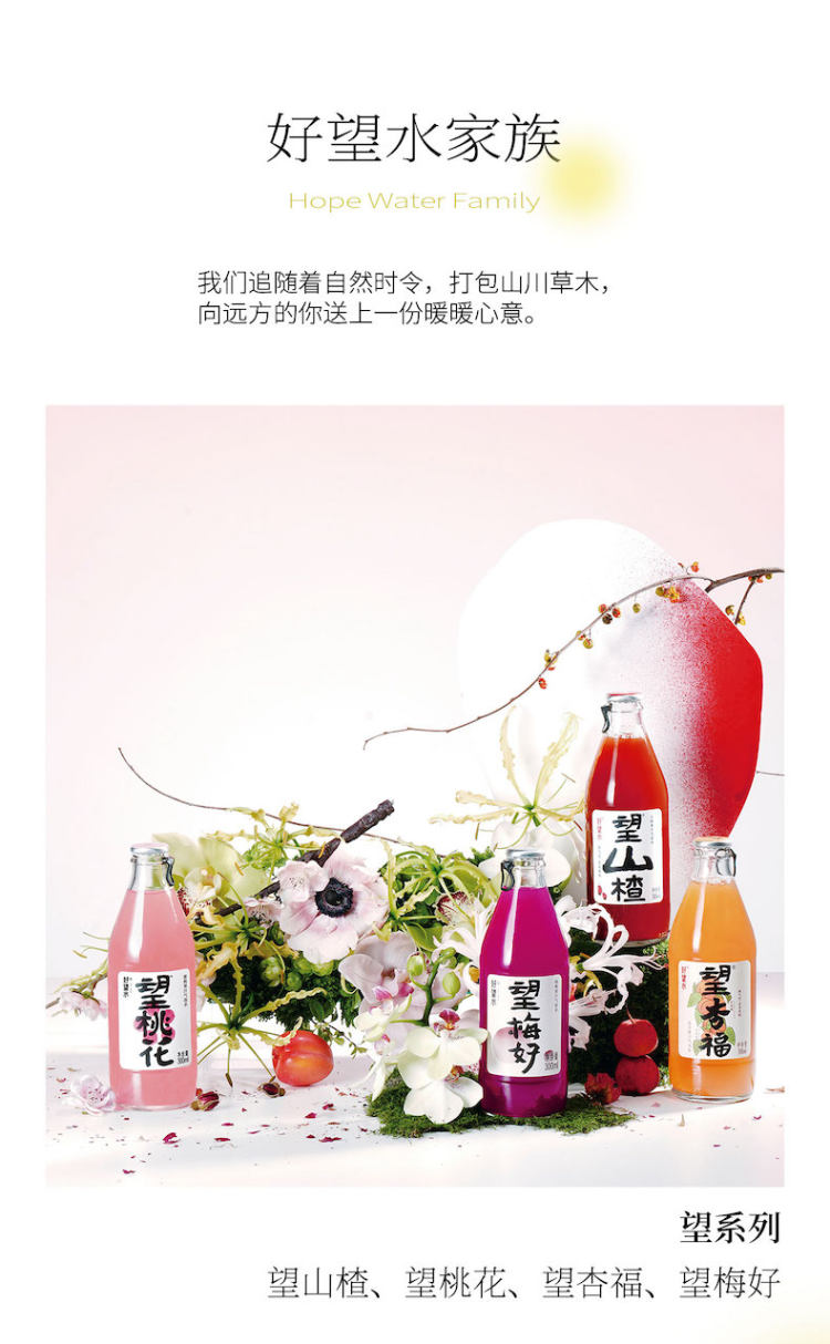 好望水 柠檬气泡水果汁330ml*6 图8