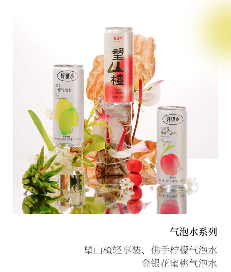好望水 柠檬气泡水果汁330ml*6 图9