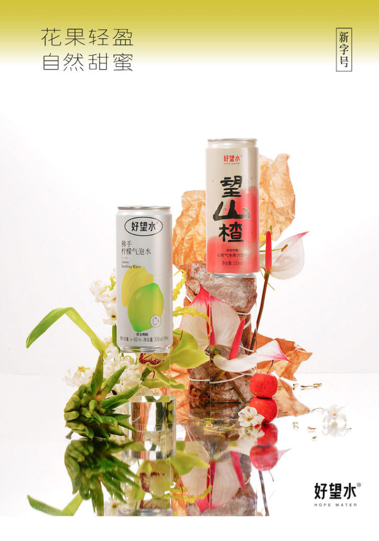 好望水 柠檬气泡水果汁330ml*6 图1