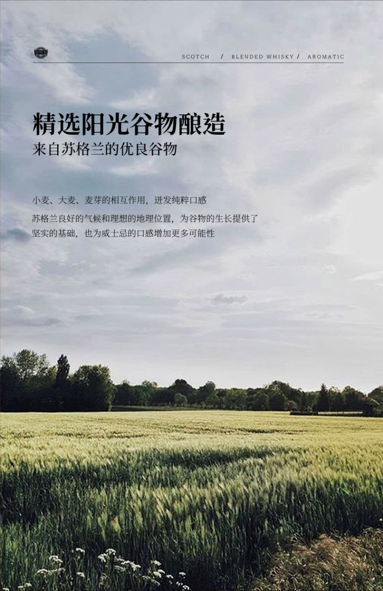 苏格兰进口 PASSTON 派斯顿 苏格兰威士忌 350mL 图4