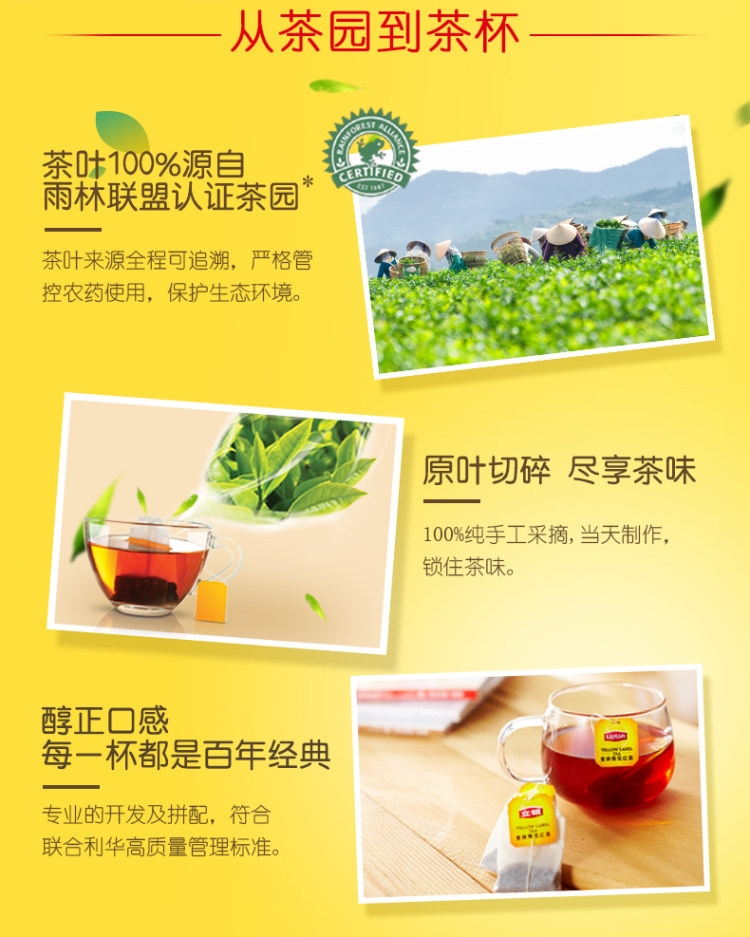 国际雨林联盟认证 立顿 黄牌精选红茶 100包 图2