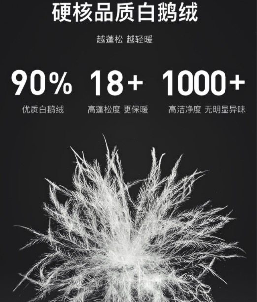 网易严选 地表强温系列 男士短款加厚鹅绒羽绒服 图3