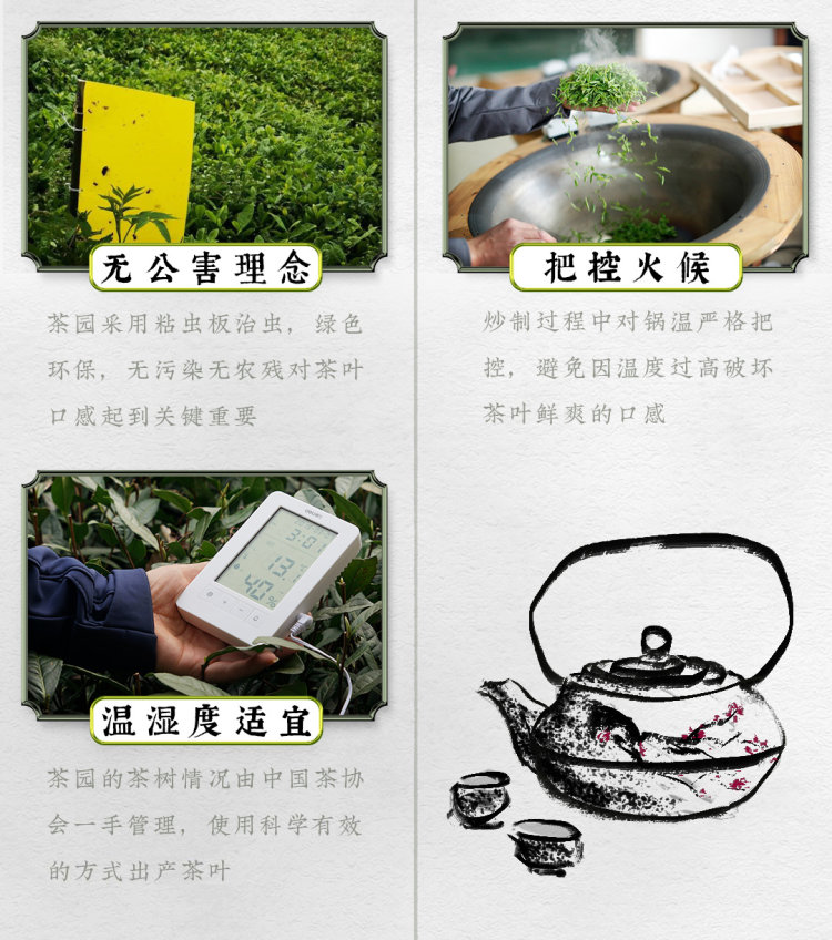 原产地直发 梅府茗家 新茶明前龙井茶罐装 125g 图3