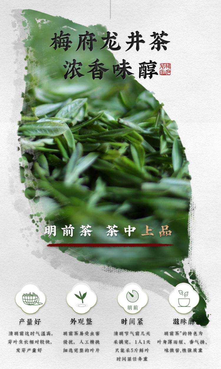 原产地直发 梅府茗家 新茶明前龙井茶罐装 125g 图4