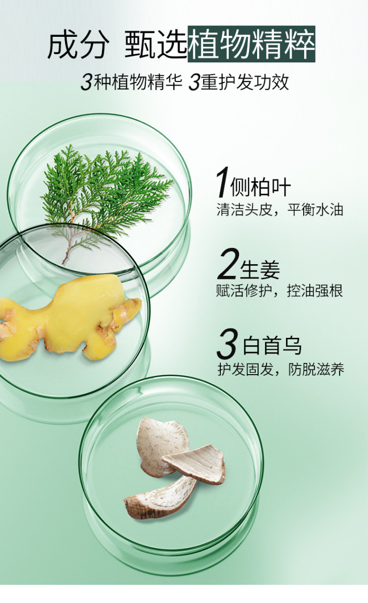 霸王 育发防脱发生姜洗发水 图5
