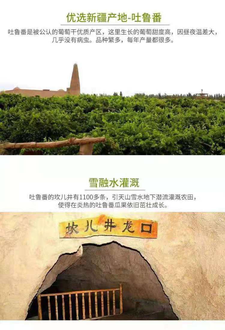 无核新疆吐鲁番葡萄干 500克 图2