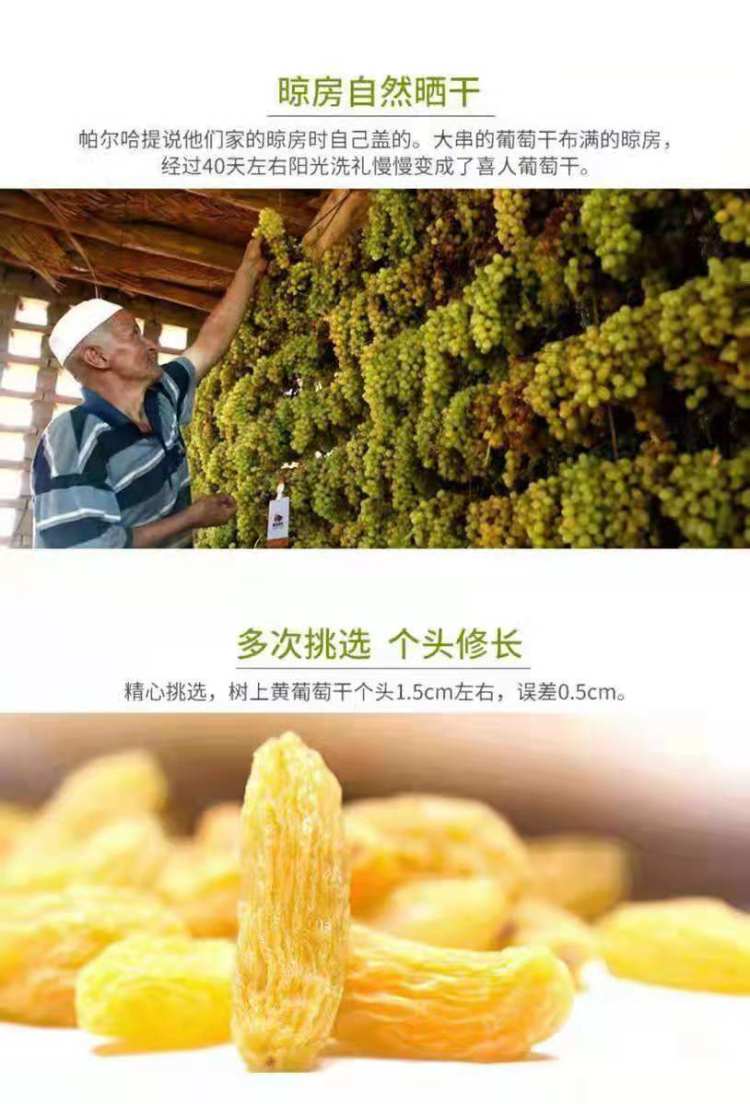 无核新疆吐鲁番葡萄干 500克 图3