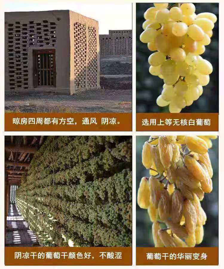 无核新疆吐鲁番葡萄干 500克 图4