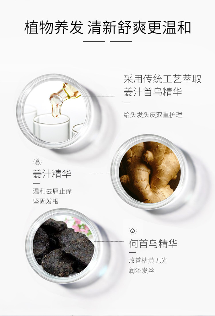 霸王 姜汁首乌洗发水1L装 图4