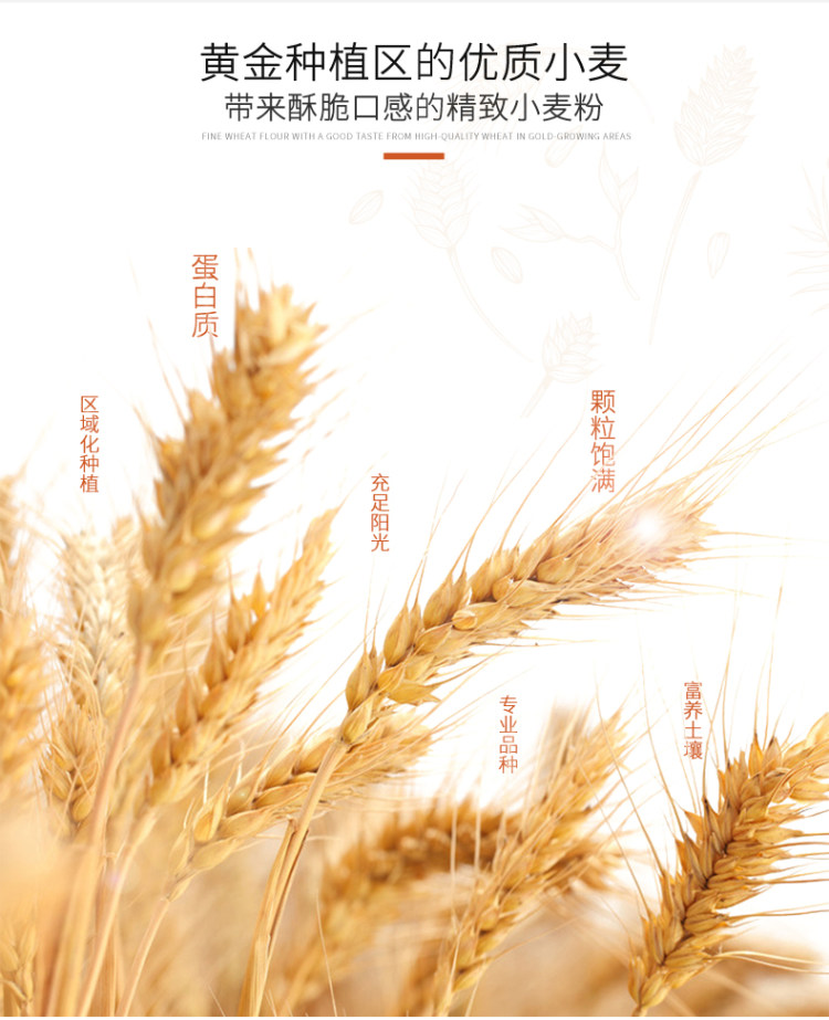 阿婆家 红糖小麻花 网红零食独立包装 250g 图5