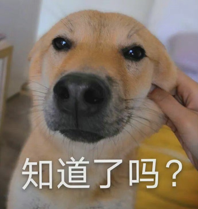 必看活动：京东 个人护理超级品类日 图2