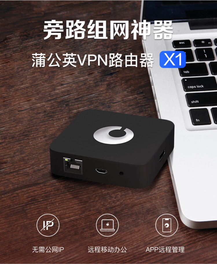 蒲公英X1 Nas云路由器组网盒子 私有云非常方便 图1