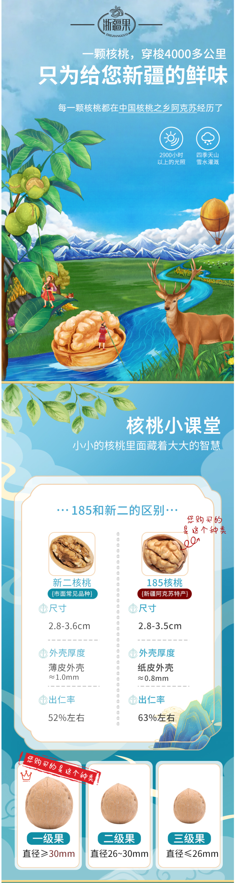 浙疆果 新疆阿克苏185纸皮核桃 新年红运礼盒 828g 图1