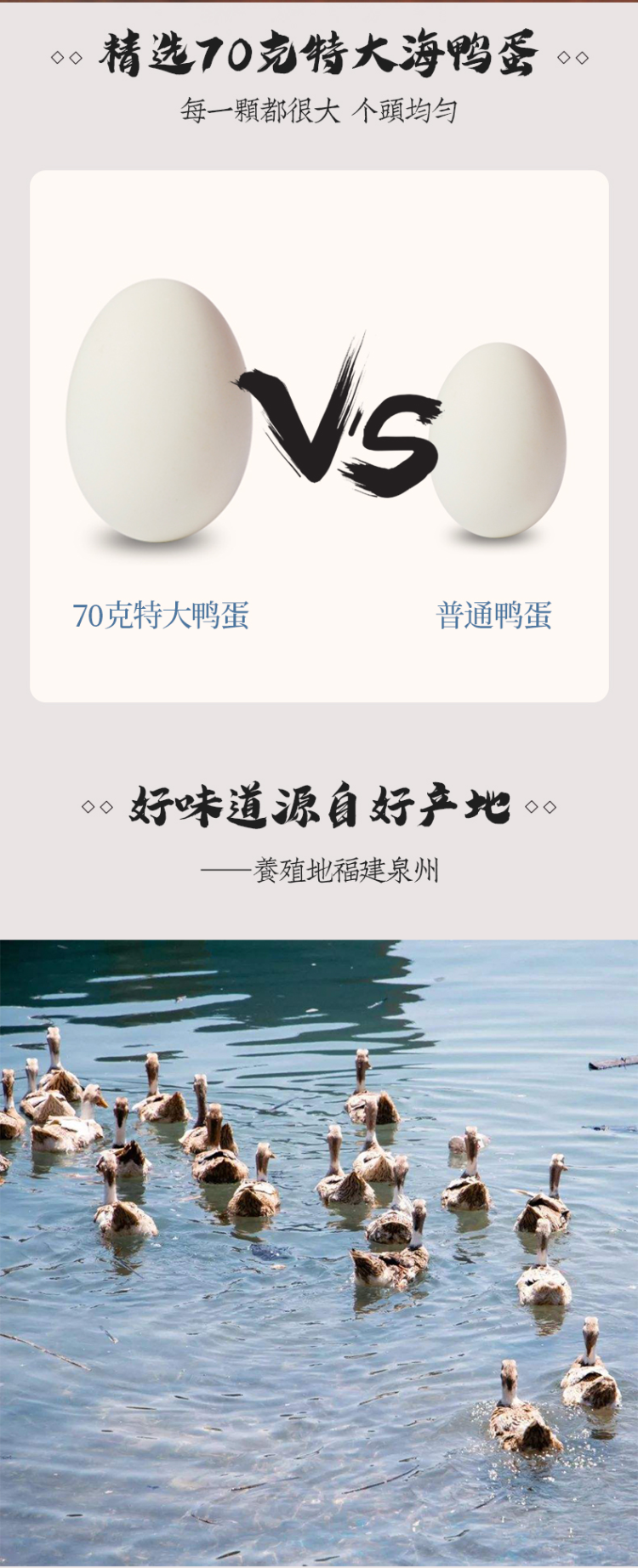 温汤佬 海鸭子咸鸭蛋 特大70g*20枚 图2