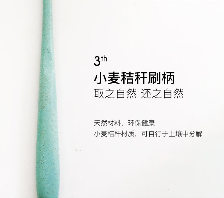 张继科代言 立白 nvr上扬竹炭牙 9支家庭装 图4