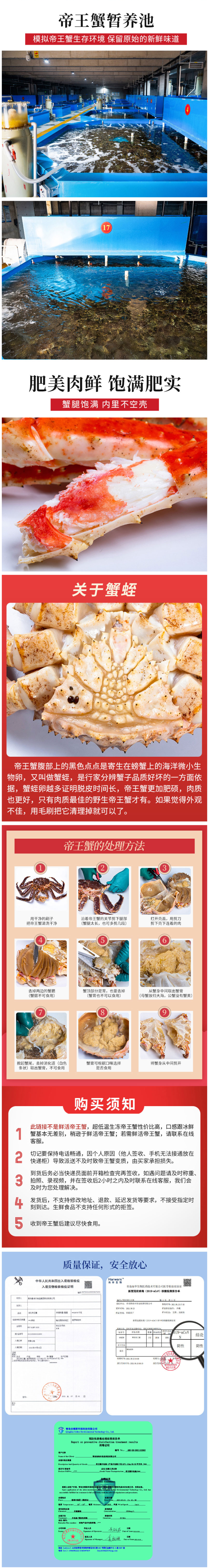 ​鲁海丰 阿拉斯加活冻帝王蟹 3.3~4斤 图3