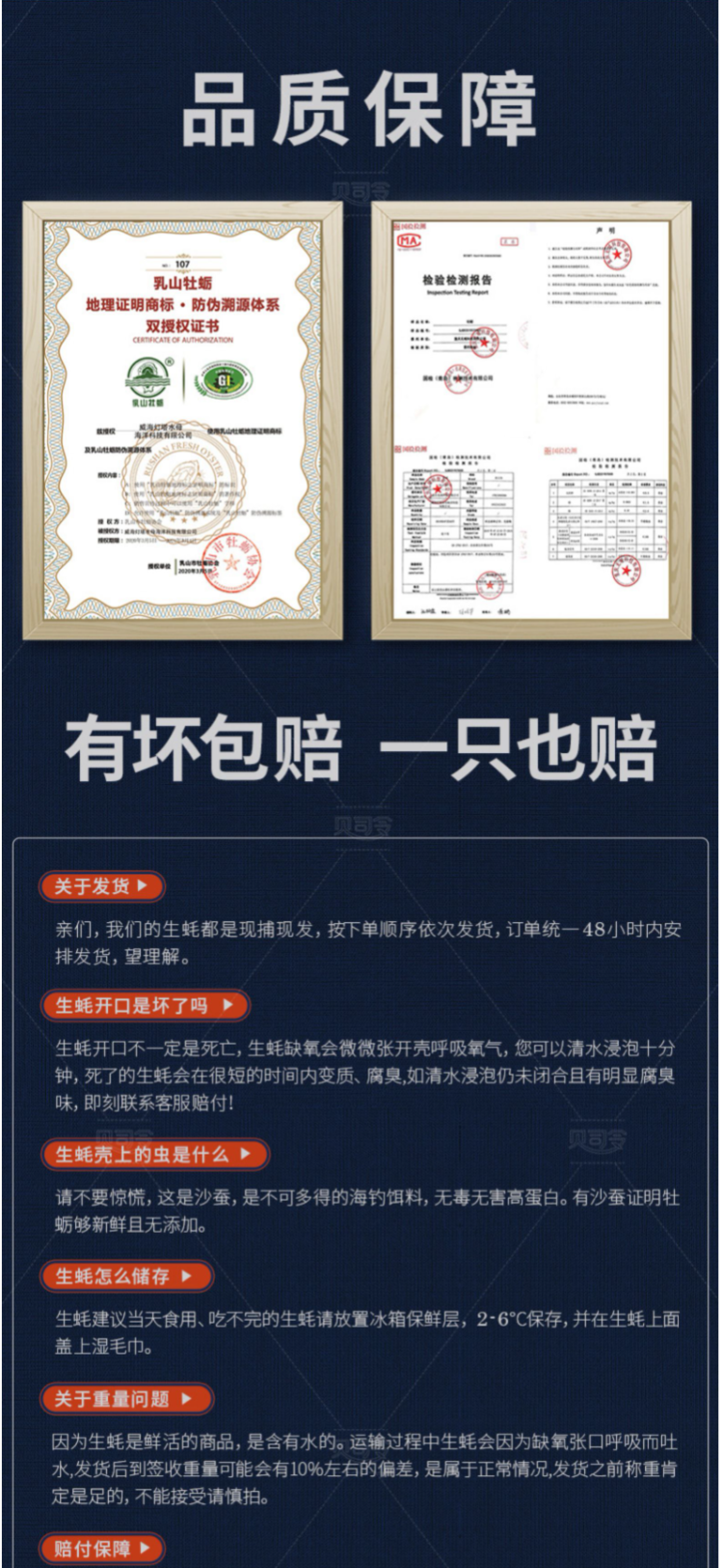 贝司令 乳山牡蛎鲜活生蚝 5斤 单个120g以上 图3