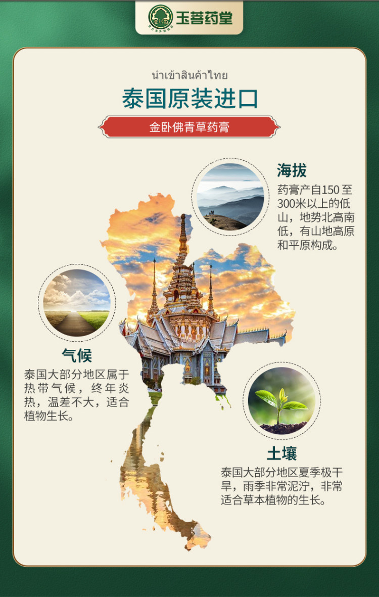 泰国 青草薬膏 金卧佛 皮肤瘙痒湿疹50g*3 图6
