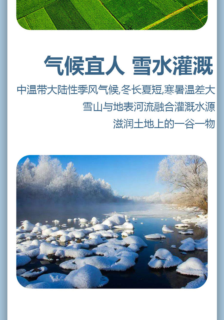 燕迎春 黑龙江寒地长粒香东北大米5斤 图4