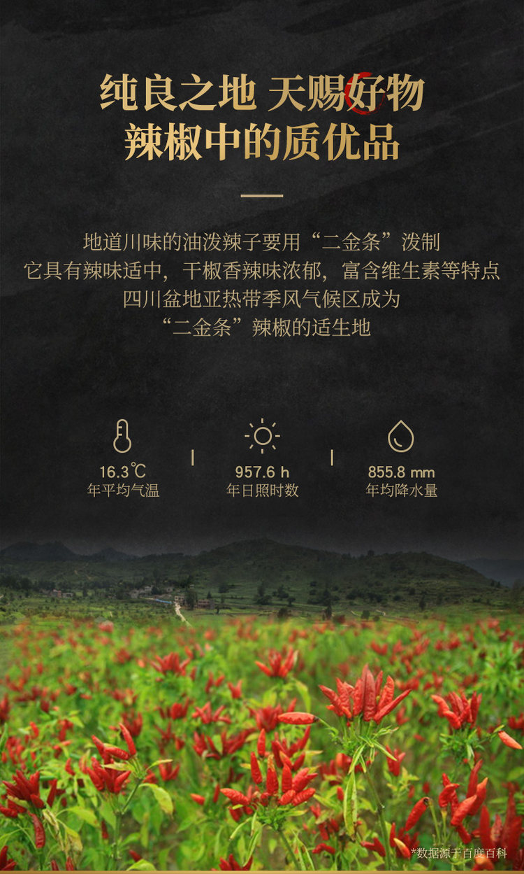 臻鲜 麻辣油泼辣子 香辣红油辣椒油 2瓶 图9