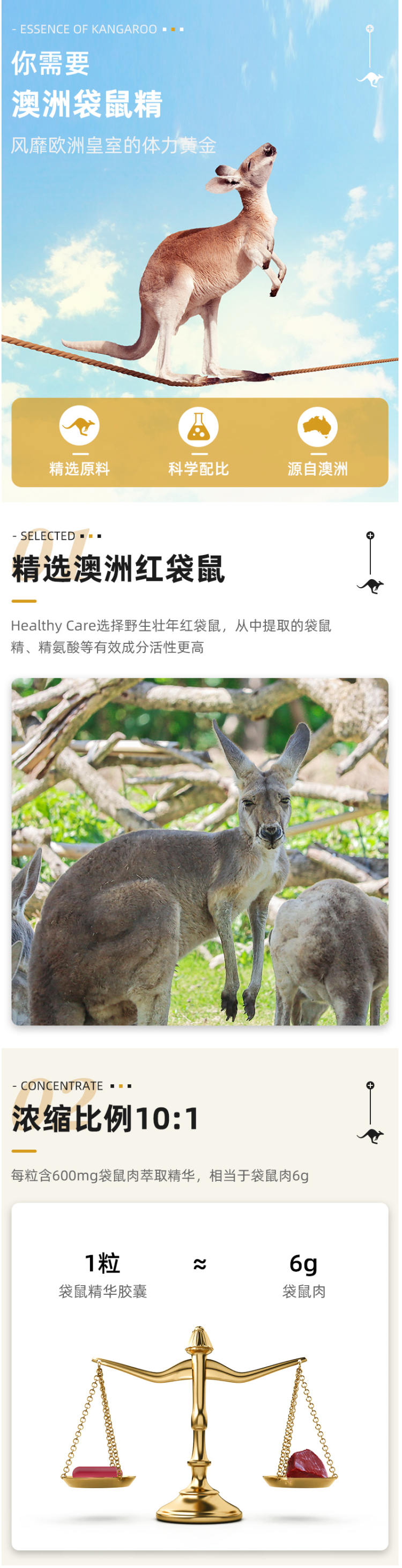 澳洲进口 Healthy Care 红袋鼠精胶囊 120粒 增强男性活力 图3