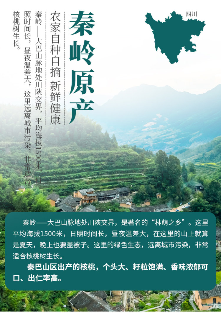 新疆特产 新货薄皮核桃 2斤装 图4