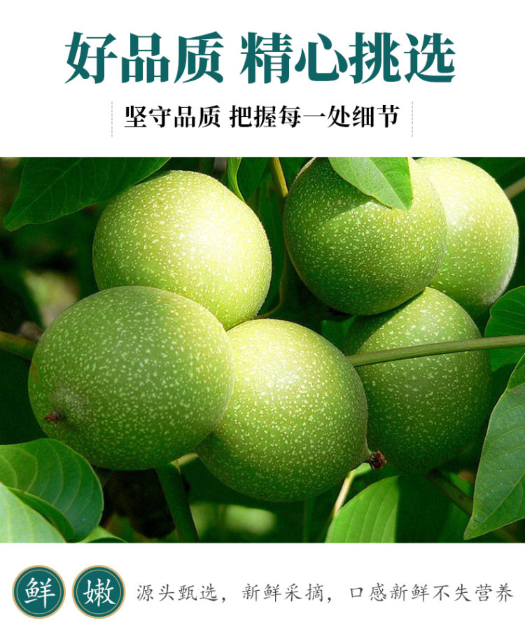 新疆特产 新货薄皮核桃 2斤装 图6