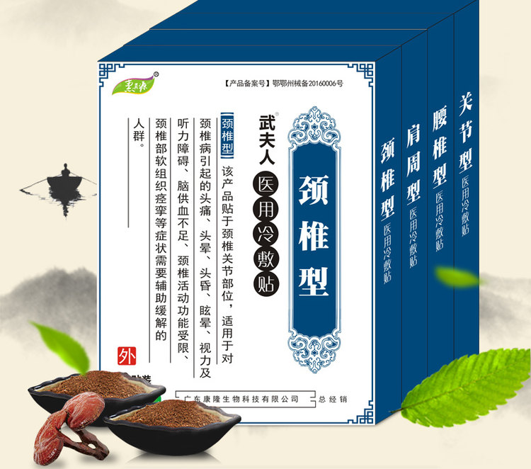 武夫人 颈肩腰腿冷敷贴 10贴 图1