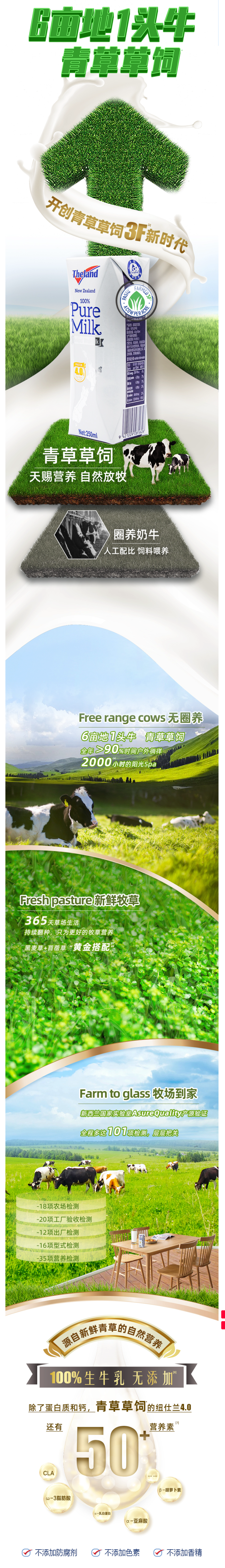 新西兰原装进口 纽仕兰 4.0g乳蛋白全脂纯牛奶 250ml*24盒 图3