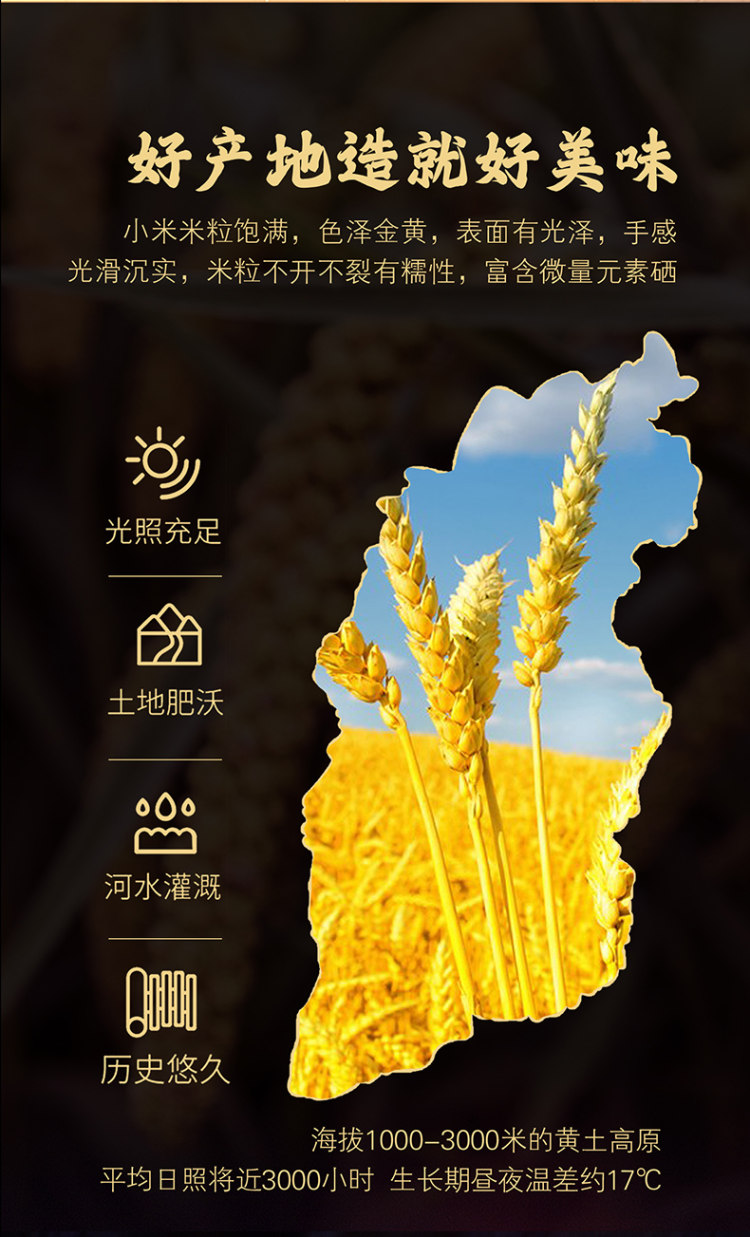 山西特产一级黄小米5斤2500g 图5