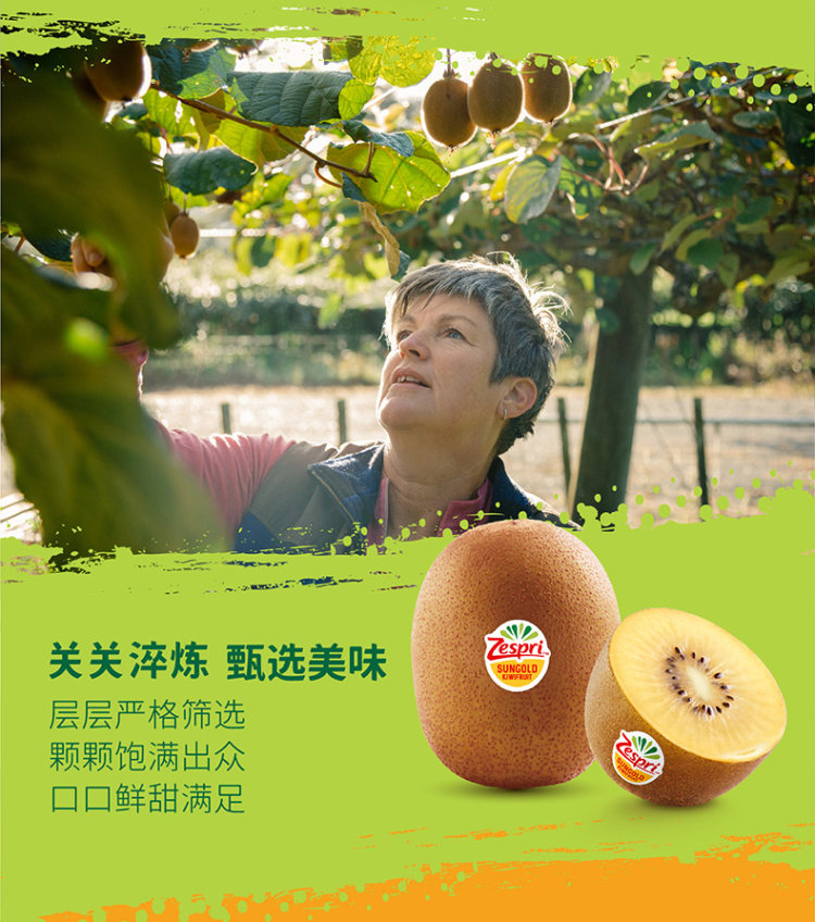 谷爱凌推荐 佳沛新西兰奇异果12粒 图4