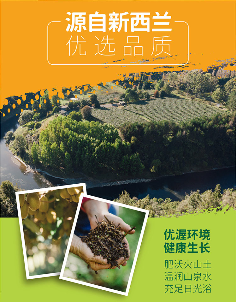 谷爱凌推荐 佳沛新西兰奇异果12粒 图3